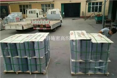 金刚网009